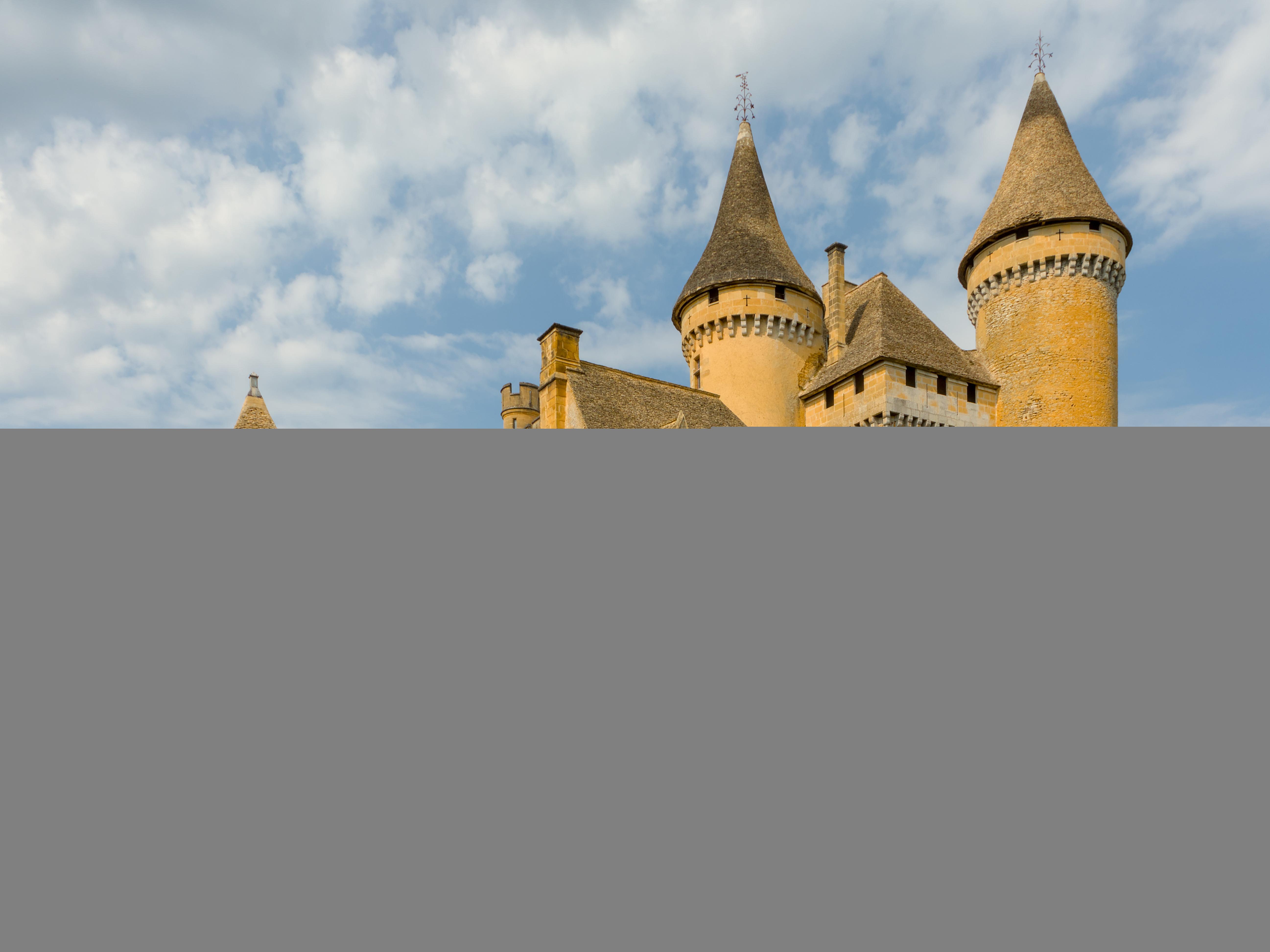 Château de Puymartin Dordogne