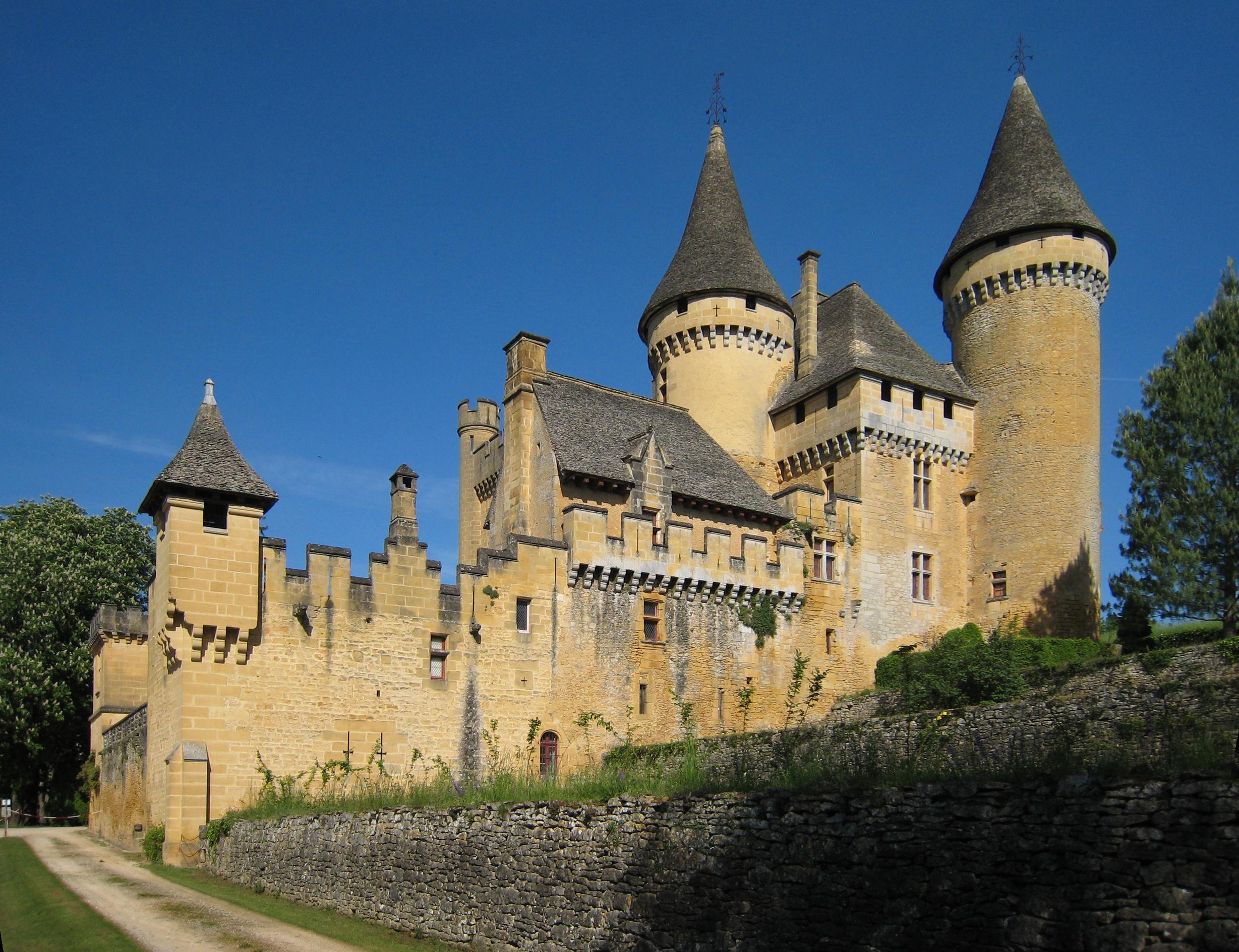 Château de Puymartin Dordogne